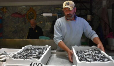 Trabzon’da tezgahları süslüyor: Kilosu 150 liradan satışta