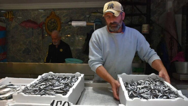 Trabzon’da tezgahları süslüyor: Kilosu 150 liradan satışta