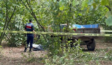 Traktörden düşüp teker ile ağaç arasına sıkışan sürücü öldü