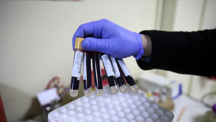 Tüketmeyen pişman olur: Demir eksikliğine iyi gelen 8 besin