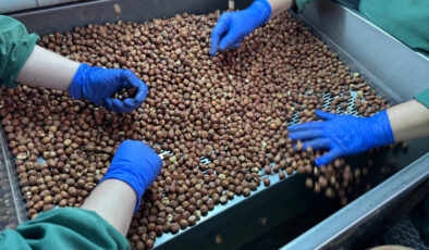 Türk fındığı geçen sezon 124 ülkede alıcı buldu