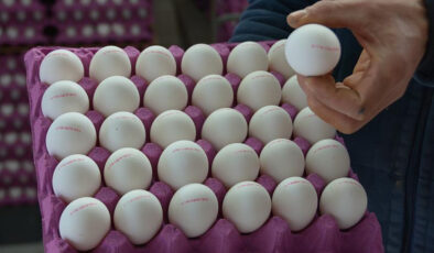 Türkiye’nin ABD’ye yumurta ihracatı yüzde 406 arttı