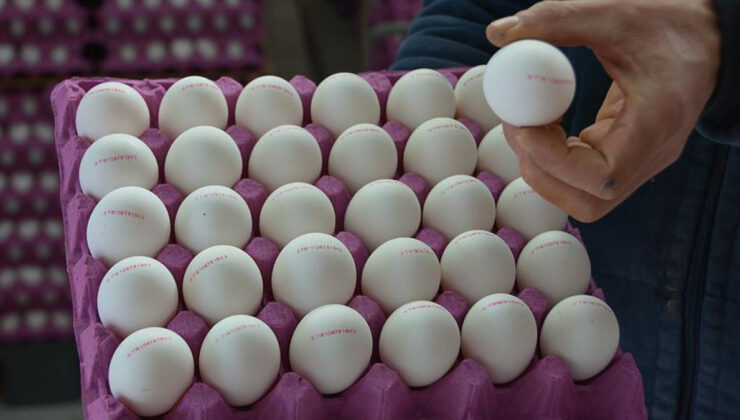 Türkiye’nin ABD’ye yumurta ihracatı yüzde 406 arttı