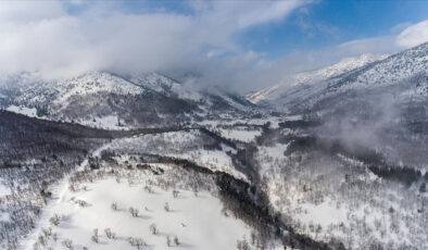 Türkiye’nin biyoçeşitlilik serveti: Doğanın kalbi 9 bölge