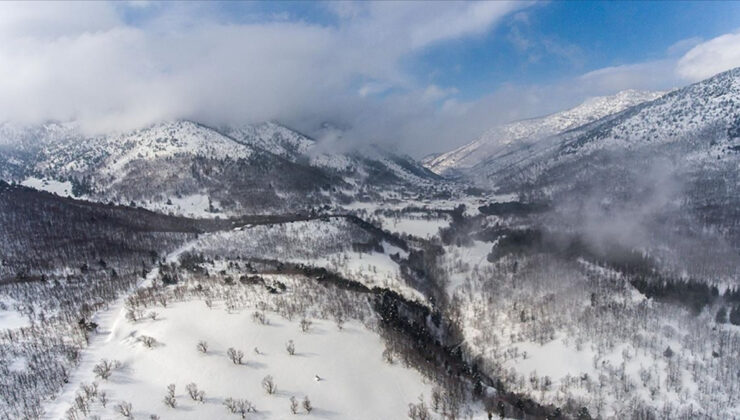 Türkiye’nin biyoçeşitlilik serveti: Doğanın kalbi 9 bölge