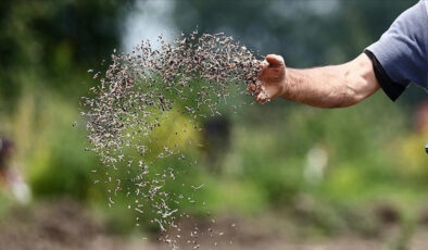 Türkiye’nin tohumculuk sektöründe dünyada ilk 5’te yer alma hedefi