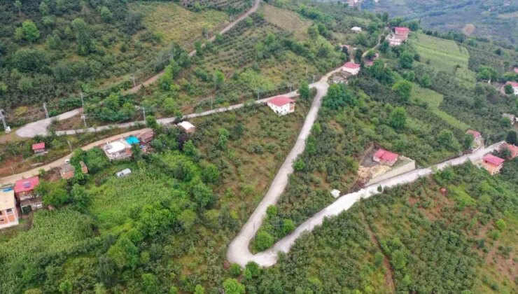 Ünye Yalı Kumsalı’na kaldırım için beton dökülmesine karşı yurttaş harekete geçti: Yapılanlar hukuksuz