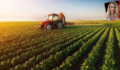 ‘Üretici kâr etse tarlası boş kalmaz, keyfi müdahale anayasaya takılacak’: Tarlaya çare destekte