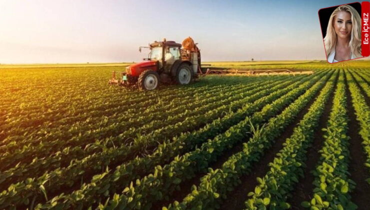 ‘Üretici kâr etse tarlası boş kalmaz, keyfi müdahale anayasaya takılacak’: Tarlaya çare destekte