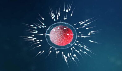 Uzmanı açıkladı: Sperm sayısındaki düşüşte en büyük faktör nedir?