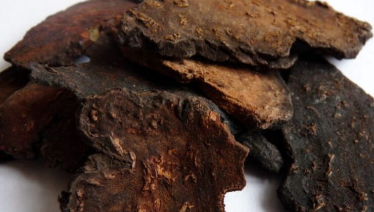 Uzun ömürle ilgisi var: Fo-Ti bitkisi