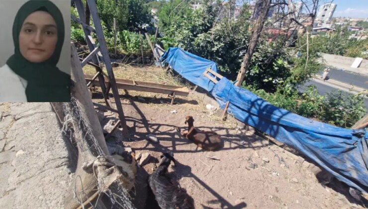 Yerde hareketsiz yatan keçiye dokununca hayatını kaybetti!