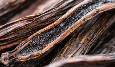 Yılda sadece 1 gün toplanıyor: Kilosu 1500 TL’den satılıyor