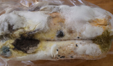 Yiyeceklerde bu işaretleri gördüğünüzde hemen çöpe atın: Zehirliyor