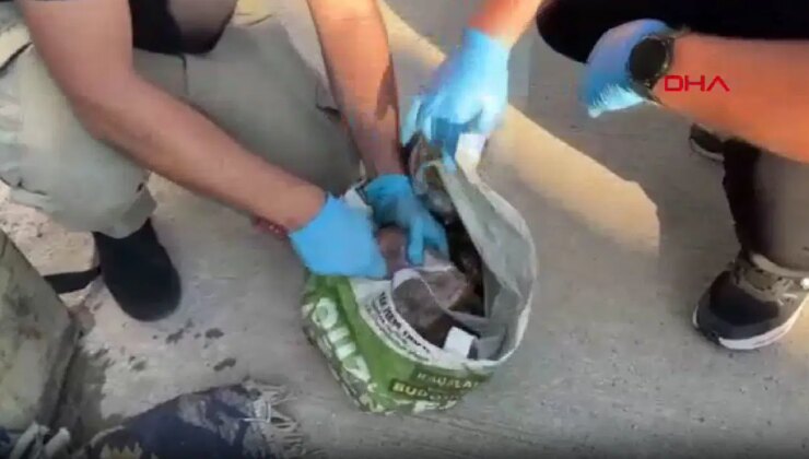 Yolcu otobüsünden ‘pul biber’ ile kaplanmış kilolarca uyuşturucu çıktı!