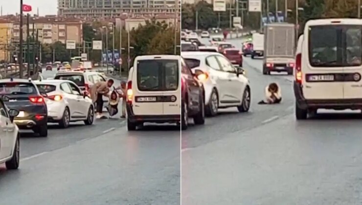 Yolun ortasında oturdu: Trafikte tehlike oluşturdu!