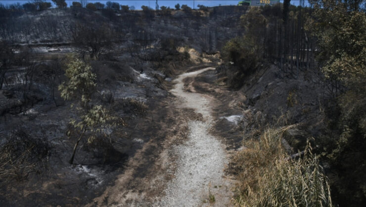Yunanistan’daki yangınlarda bilanço: 470 bin dönümden fazla alan yandı
