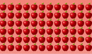 Zeka illüzyonu: Jilet gibi keskin gözler buraya! Domatesi işaretleyin…