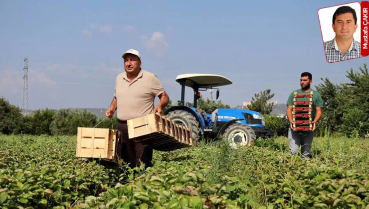 Zirai don ile tarım destekleri yetersiz kaldı: ‘Dağ fare doğurdu’