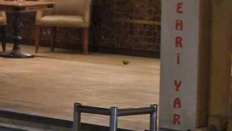 16 yaşındaki çocuk pastaneye pimi çekilmemiş el bombası attı