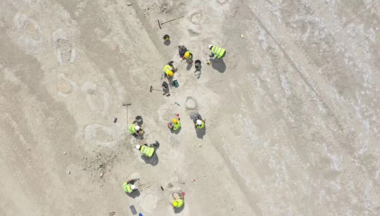 166 milyon yıl öncesine ait dinozor ayak izleri keşfedildi