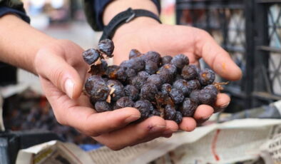 2 yılda bir yetişiyor, olgunlaşınca değil çürüyünce tüketiliyor