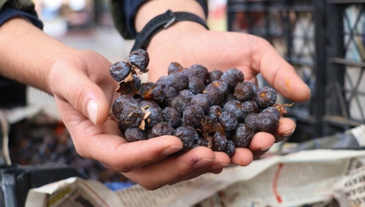 2 yılda bir yetişiyor, olgunlaşınca değil çürüyünce tüketiliyor