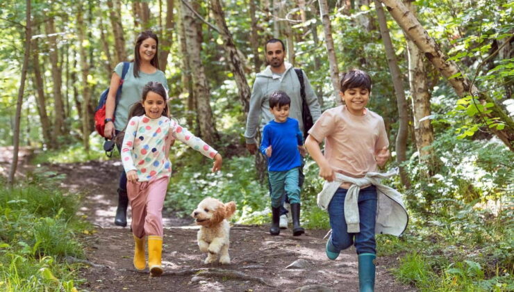20 dakika bile yeter: Doğada olmanın vücuda dört faydası