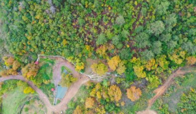 20 yıl önce kurumuştu… 6.1’lik depremin ardından yeniden ortaya çıktı!