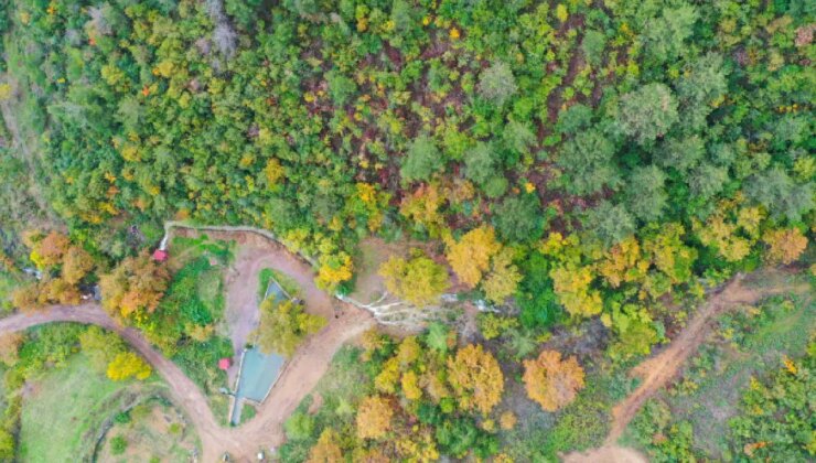 20 yıl önce kurumuştu… 6.1’lik depremin ardından yeniden ortaya çıktı!