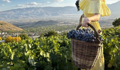 200 yıllık bağlarda yetişiyor: 75 TL’den alıcı buluyor! Şeker hastaları tarafından talep ediliyor…