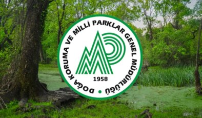 2025 Doğa Koruma ve Milli Parklar Genel Müdürlüğü 240 personel alımı başladı mı? DKMP başvurusu nasıl yapılır, şartlar neler?