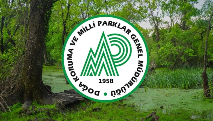 2025 Doğa Koruma ve Milli Parklar Genel Müdürlüğü 240 personel alımı başladı mı? DKMP başvurusu nasıl yapılır, şartlar neler?