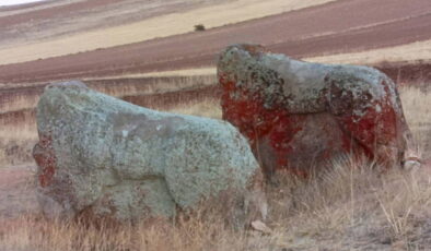 4 bin yıllık eserler için taşınma kararı: Belediye itiraz etti!