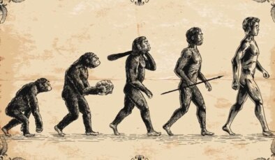 4,4 milyon yıllık ayak bileği kemiği insan evrimine ışık tutuyor