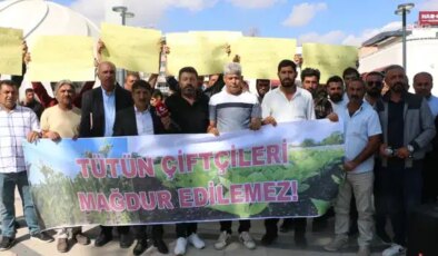 Adıyaman’da firmalar tütün alımını durdurdu… Üreticiden sert tepki!