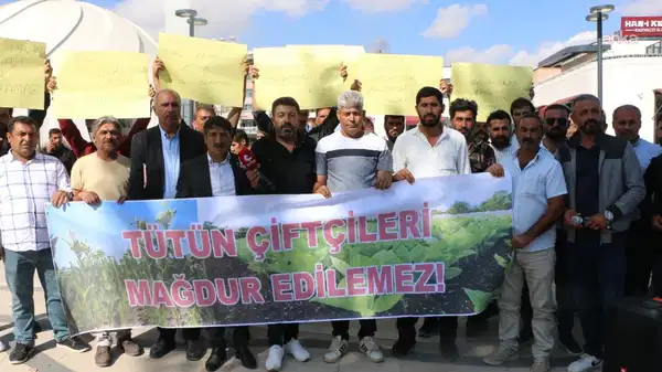 Adıyaman’da firmalar tütün alımını durdurdu… Üreticiden sert tepki!
