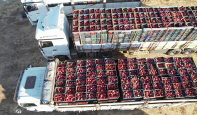 Adıyaman’dan dünyanın 9 ülkesine ihraç ediliyor: Hasat başladı!