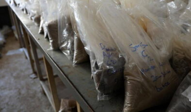 Akdeniz’in toprağı bozuldu: Bilim insanları çalışma başlattı!