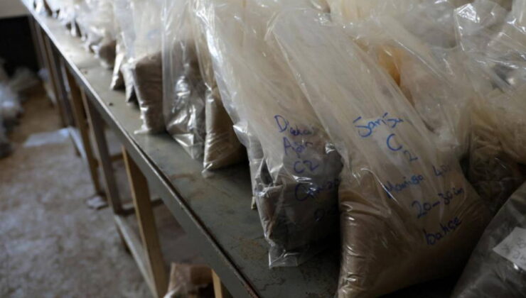 Akdeniz’in toprağı bozuldu: Bilim insanları çalışma başlattı!