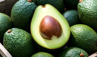 Alanyalı yetiştiriciler avokadonun tüccara tane üzerinden satışına ‘devam’ dedi