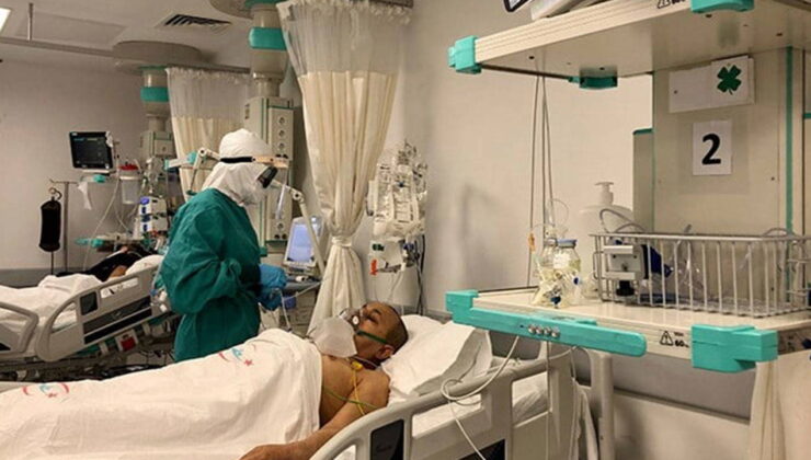 Ankara’dan sonra Bolu’da görüldü: ‘Deli dana’ hastalığı şüphesi!