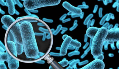 Antibiyotiklerin sonu mu geliyor: Yapay zeka ile bakterileri öldüren virüs geliştirildi