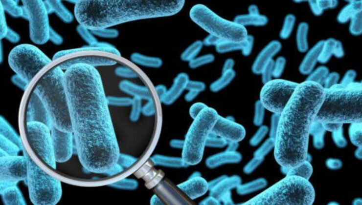 Antibiyotiklerin sonu mu geliyor: Yapay zeka ile bakterileri öldüren virüs geliştirildi