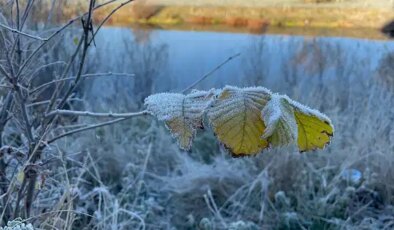 Ardahan’da hava eksi 10 dereceye düştü, kırağı oluştu