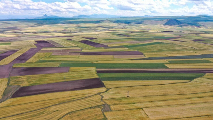 Arsa, tarla ve bahçeyi birbirinden ayıran 8 temel özellik