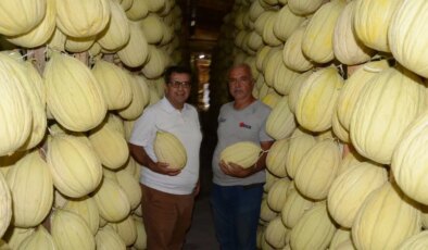 Avrupa tescilli lezzet: Ağustos’ta hasat edildi, kışın sofraya gelecek…