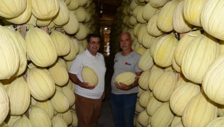 Avrupa tescilli lezzet: Ağustos’ta hasat edildi, kışın sofraya gelecek…