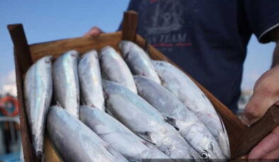 Bakanlık açıkladı: Filipinler’e kanatlı eti ile su ürünleri ihracatında kısıtlamalar kaldırıldı