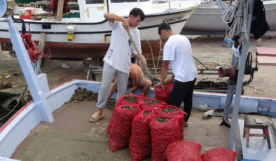 Balıkçıların geçim kaynağıydı, bu sene hüsrana uğrattı!